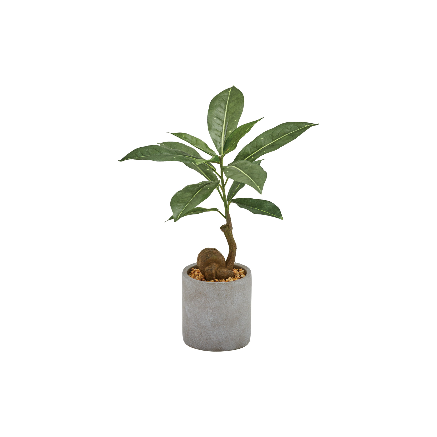 人工観葉植物【決まりました】　 ボックスプランター GR5078 ドラセナ H1350｜人工観葉植物 樹木